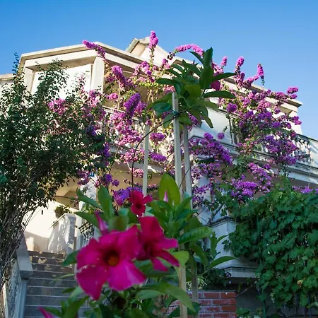 Apartman Klara Biograd Na Moru