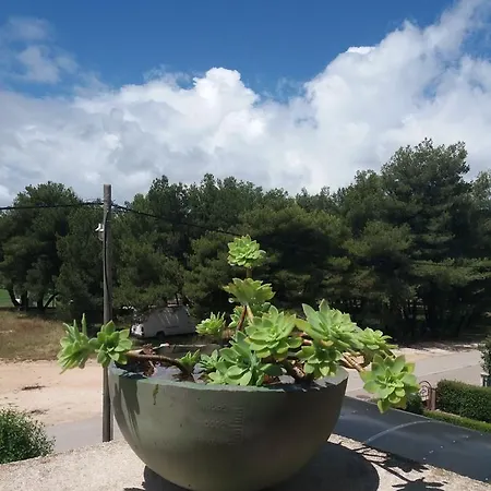 Klara Biograd Na Moru