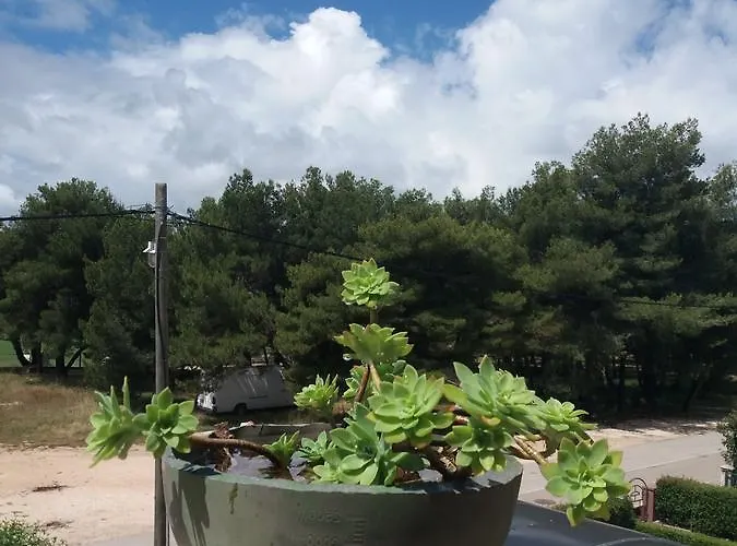 Klara Biograd Na Moru